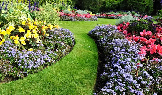 Buy Lowest Price Cocopeat for landscaping in Tamilnadu