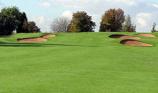 Best Coco Peat Products for Golf Course Turf in Port Louis