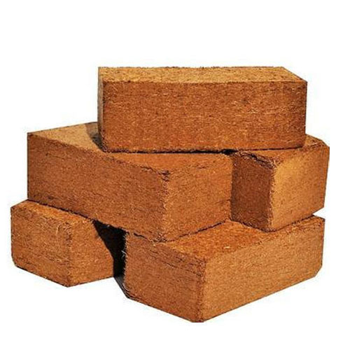Best Leading Coco Peat online store