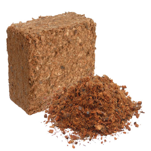 Best Coco peat Exporters in Port Louis