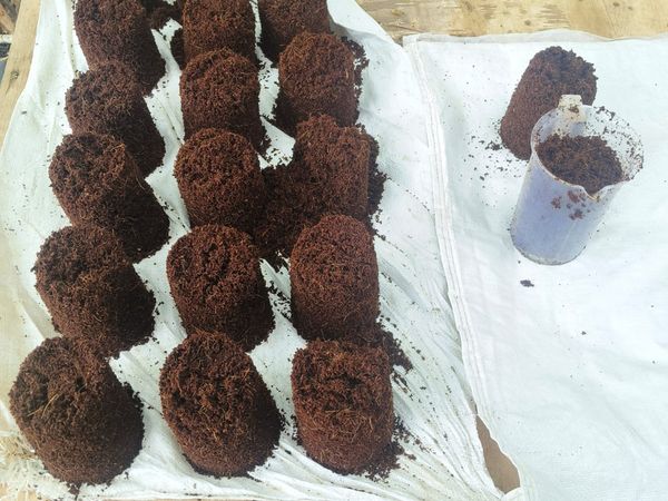 Coco Peat Discs Sample