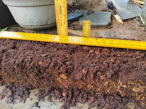 Coco Peat Quality Check
