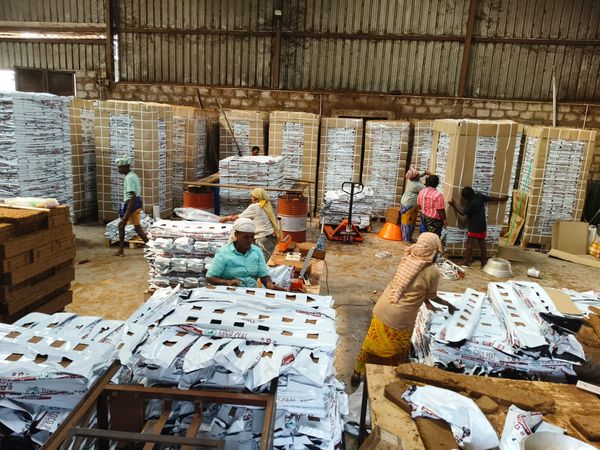 Grow Bag Production Workers