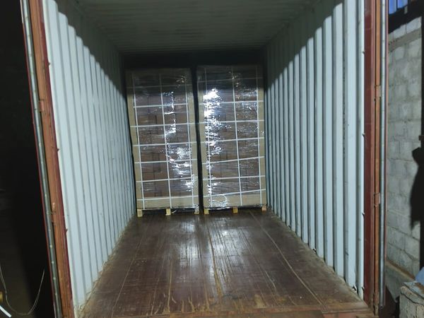 Container Loaded Coco Peat Pallets