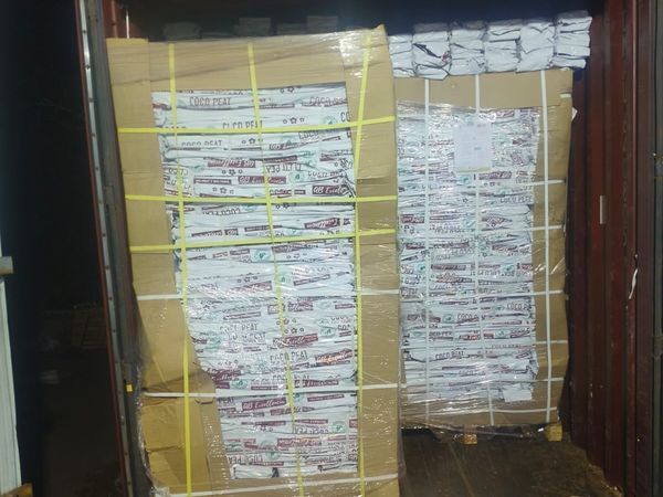 Container Loading Coco Peat Pallets
