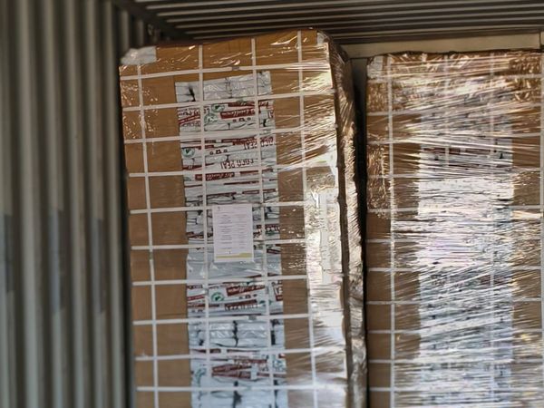 Palletized Coco Peat inside Container