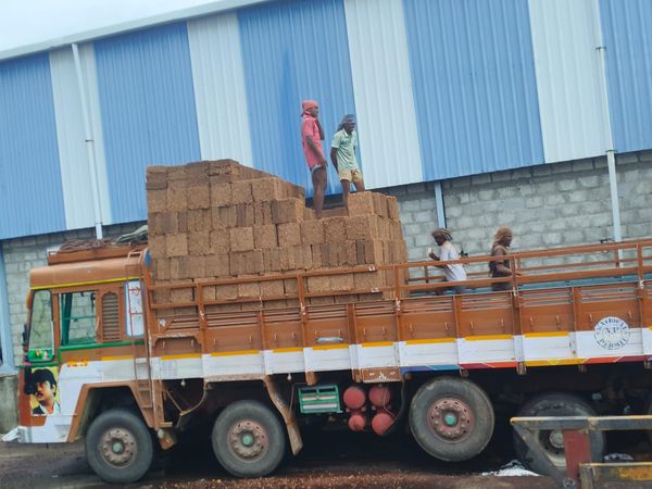 Workers Loading Coco Peat Truck